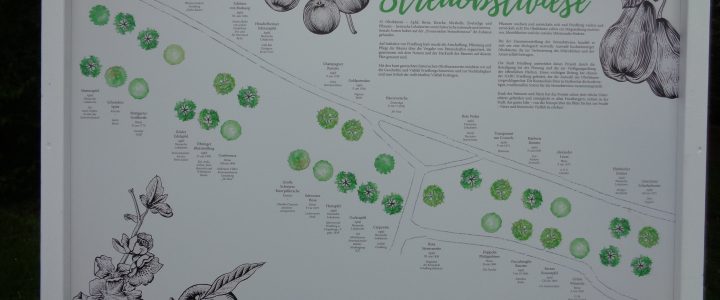 Info-Tafel für das Streuobstwiesenprojekt in Friedberg